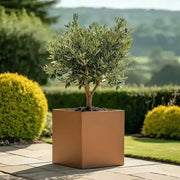 60cm Zinc Galvanised Copper Square Planter